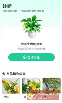 Plant Parent 植物养护v1.105高级版-游乐堂