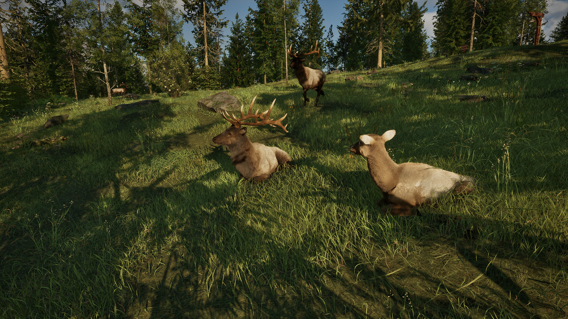 护林员之路：国家公园模拟器/Ranger’s Path: National Park Simulator