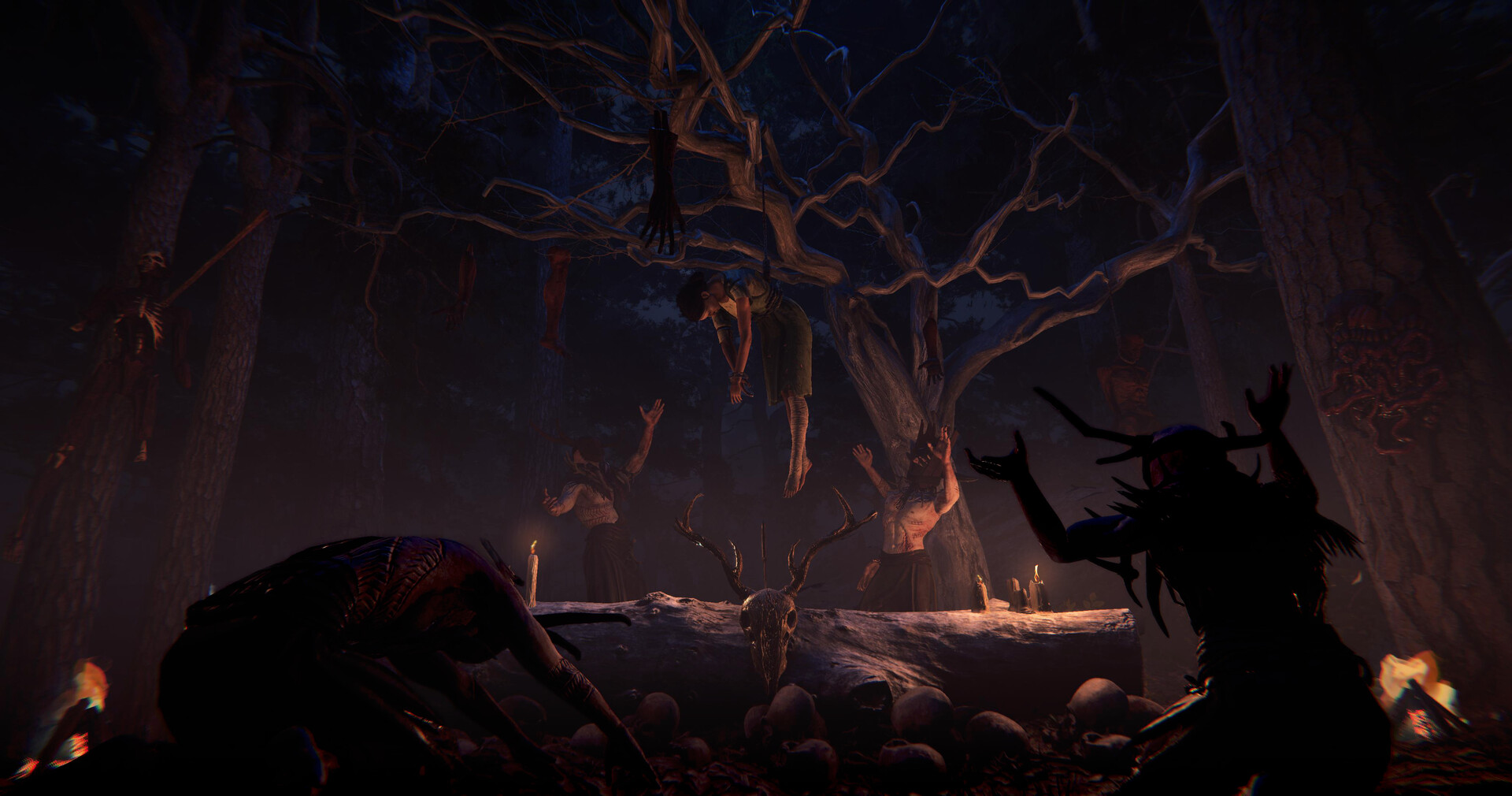 覆巢之地/Nested Lands