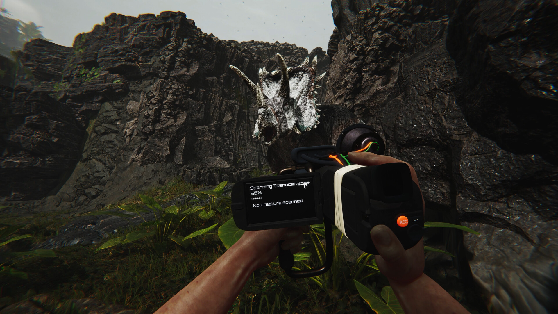 蛮荒计划/FEROCIOUS